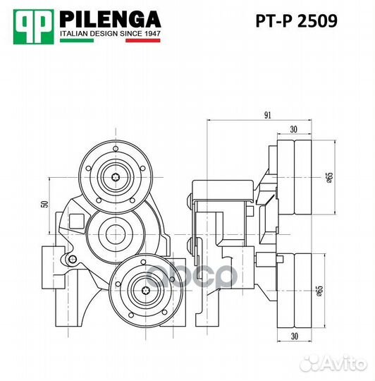 Натяжитель ремня PT-P2509 pilenga