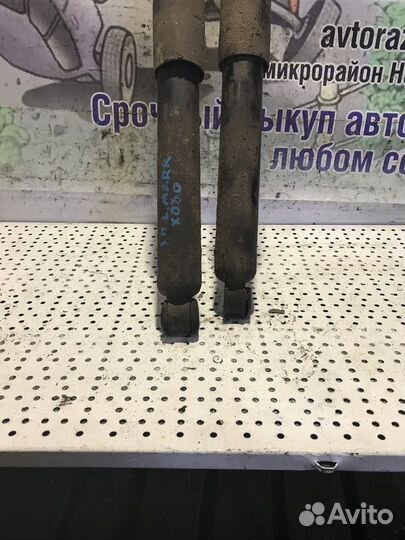 Амортизатор задний пара ZX Landmark