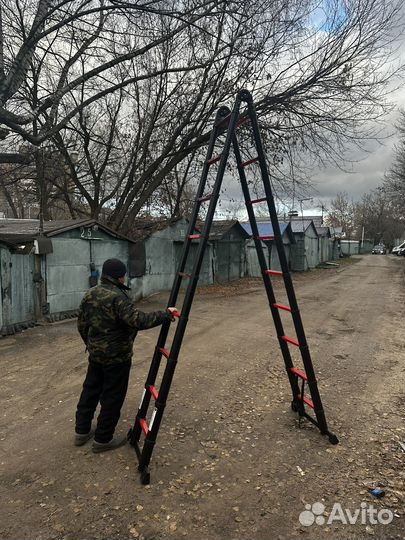 Аренда лестницы трансформер