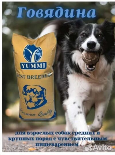 Yummi (юмми) premium для собак