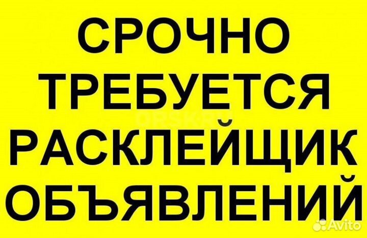 Требуется расклейщик обьявлений
