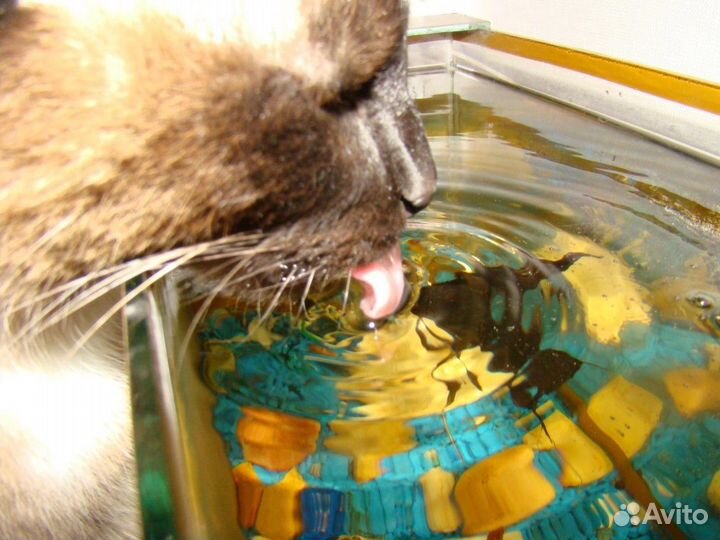 Продам аквариум с крышкой 60 литров