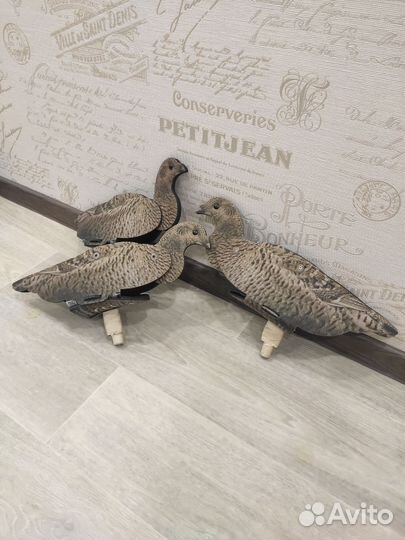 Профиля тетеревов NRA FUD Black Grouse