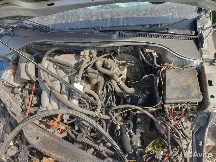 Volkswagen Golf 1.6 МТ, 2004, битый, 250 000 км