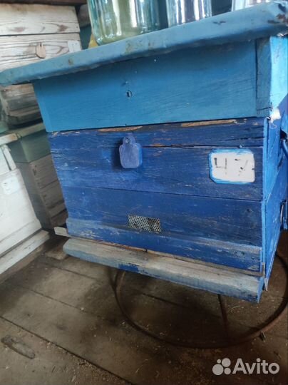 Продам двухкорпусные ульи 