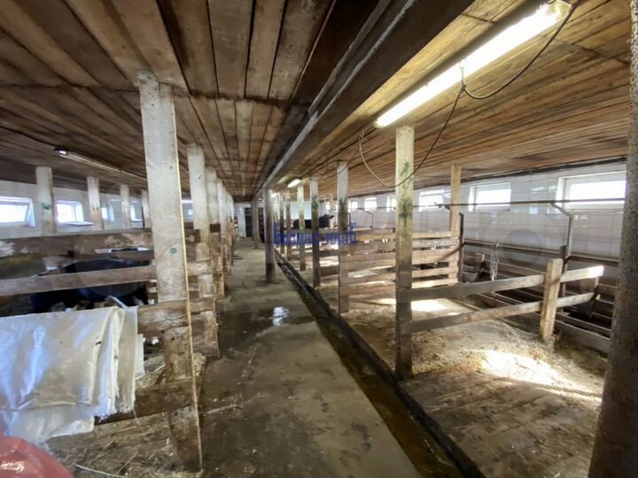 Продам приусадебное хозяйство