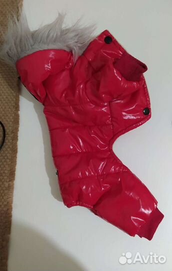 Комбинезон для собак