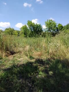 Участок 20 сот. (ИЖС)