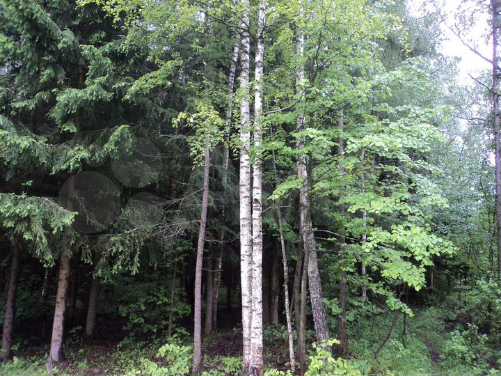 Дача 36 м² на участке 13 сот.