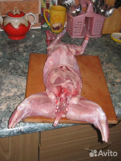 Мясо кролика