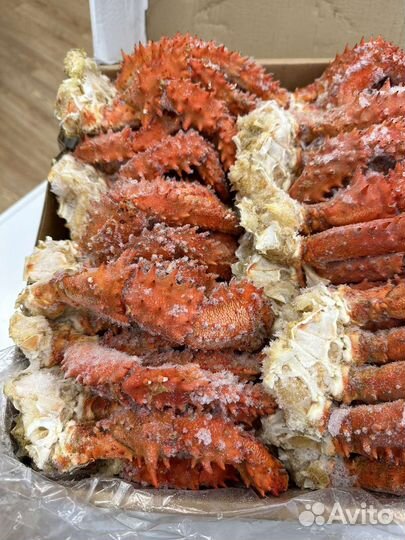 Краб колючий Камчатка