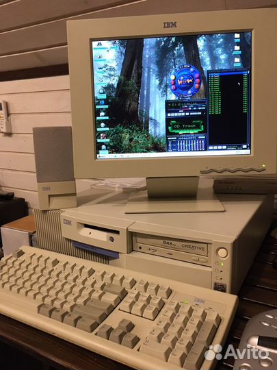 IBM PC 300GL