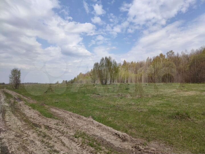 Участок 9,9 га (СНТ, ДНП)