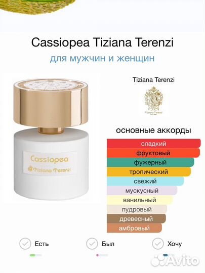 Tiziana Terenzi Cassiopea