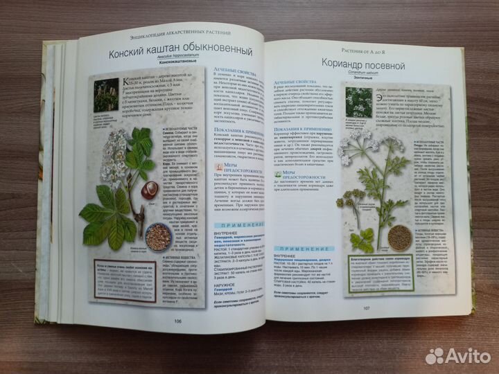 Энциклопедия лекарственных растений