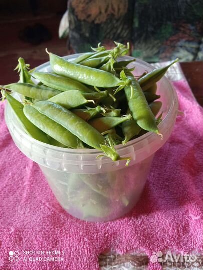 Горошек свежий