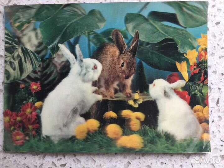 Открытка Кролик Стерео 3D Символ 2023 СССР