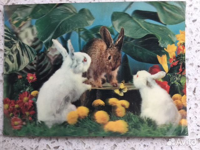 Открытка Кролик Стерео 3D Символ 2023 СССР