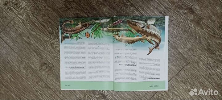 Книга-энциклопедия 