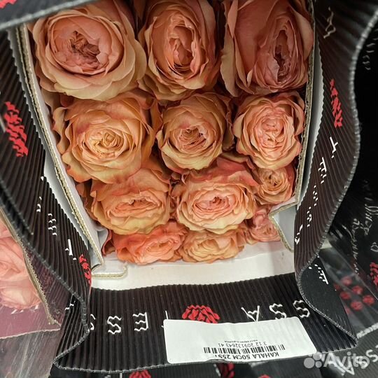 Розы эквадор оптом