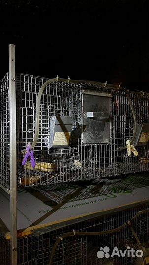 Клетка для шиншил