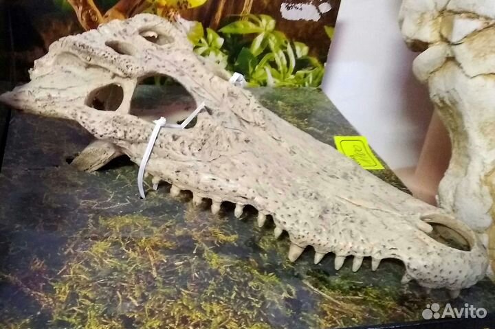 Террариумы от производителя