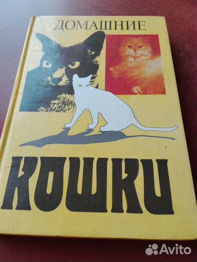 Домашние кошки