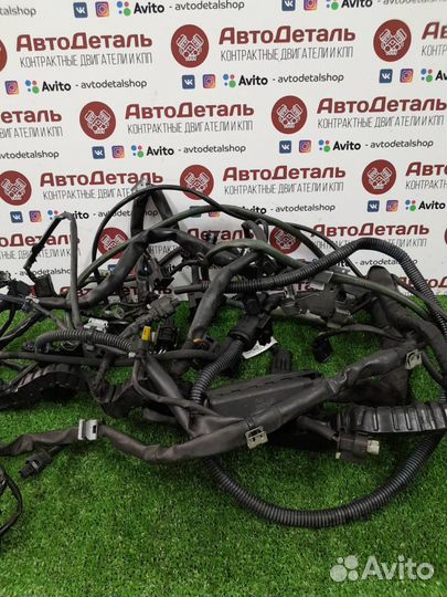 Проводка двигателя Mercedes-Benz C-Класс W204/S204