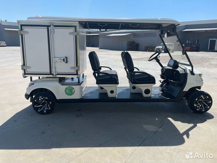 Гольфкар eCar 4 места плюс фургон