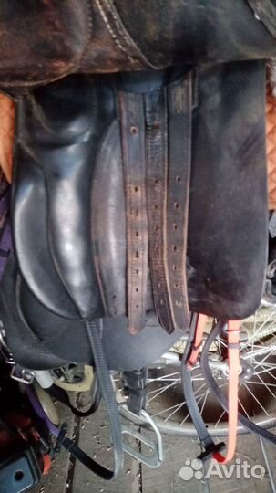 Конная амуниция, седло, недоуздок