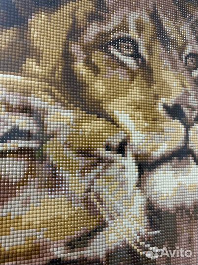 Картина алмазная мозайка готовая