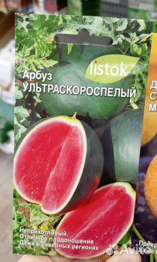 Рассада разных овощей и бахчевых