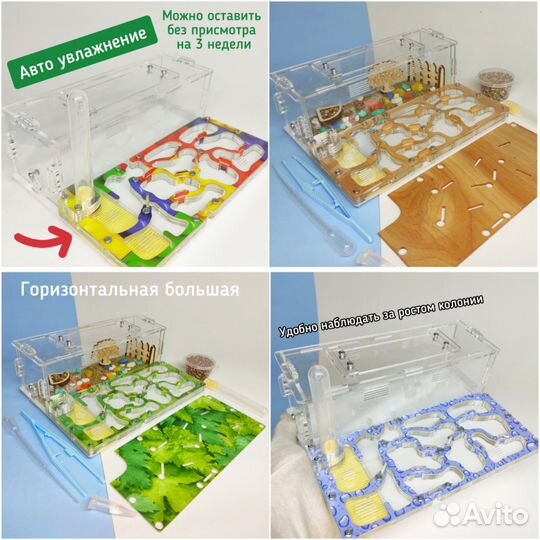 Муравьиные фермы, доставка