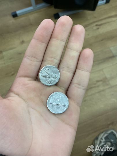 2 одинаковые египетские монеты