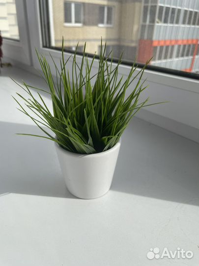 Искусственные растения для декора