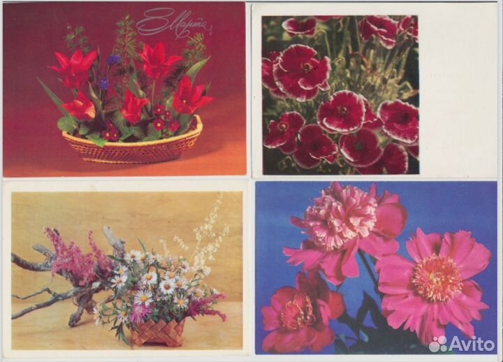 Советские открытки цветы СССР