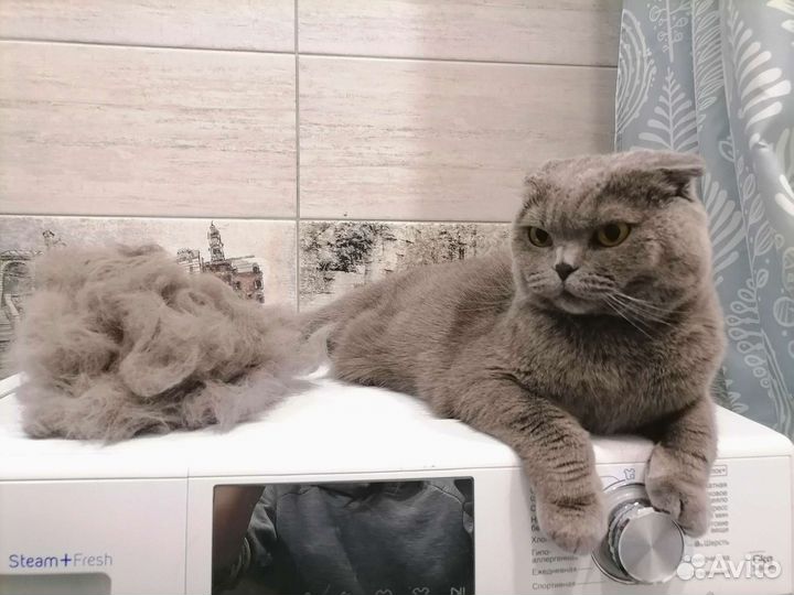 Стрижка животных