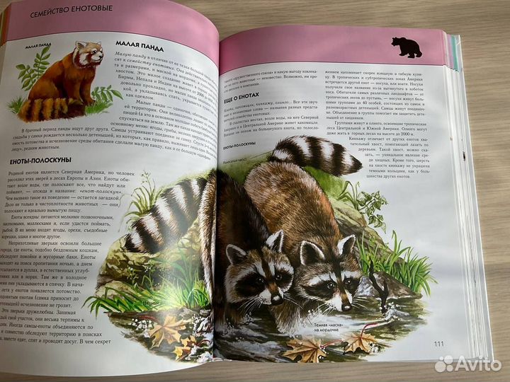 Энциклопедия животных. Книга для школьника