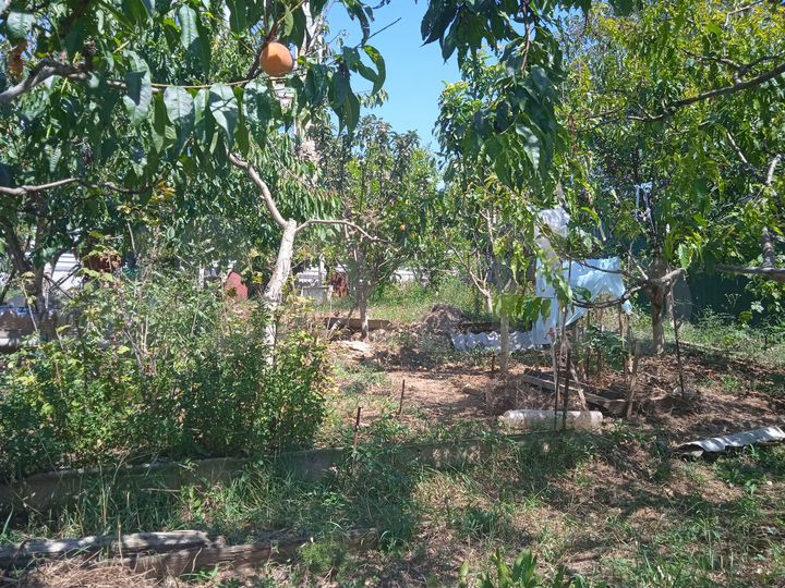 Участок 4,6 сот. (СНТ, ДНП)