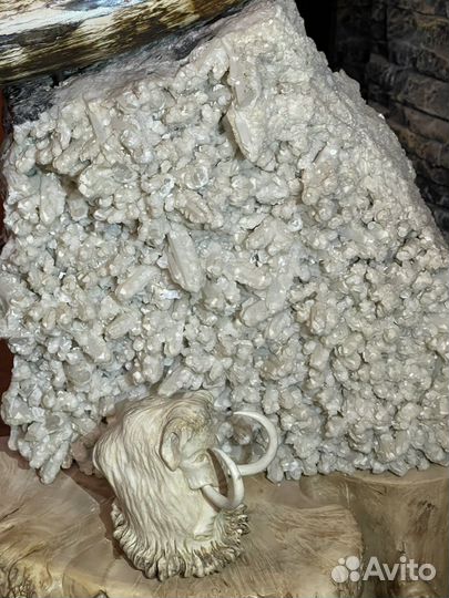 Бивень мамонта. Дизайнерский проект