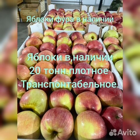 Яблоки оптом купить в Новороссийске | Товары для дома и дачи | Авито