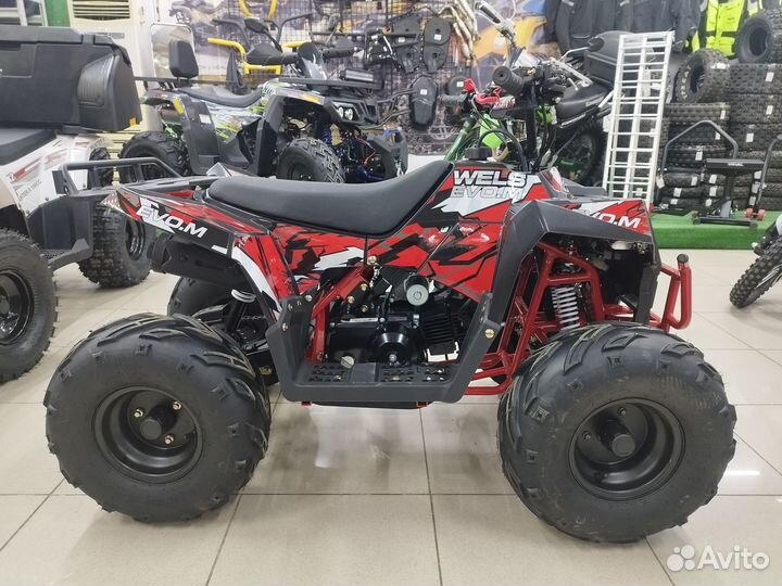 Детский квадроцикл thunder EVO.M 110