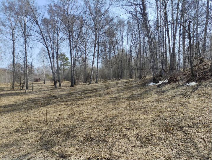 Участок 38 сот. (СНТ, ДНП)