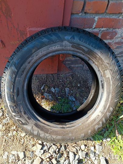 Pirelli Winter Carving Edge 195/65 R15