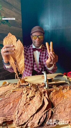 Сигарное шоу профессионального Торседора