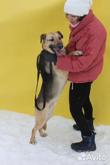 Забери меня домой