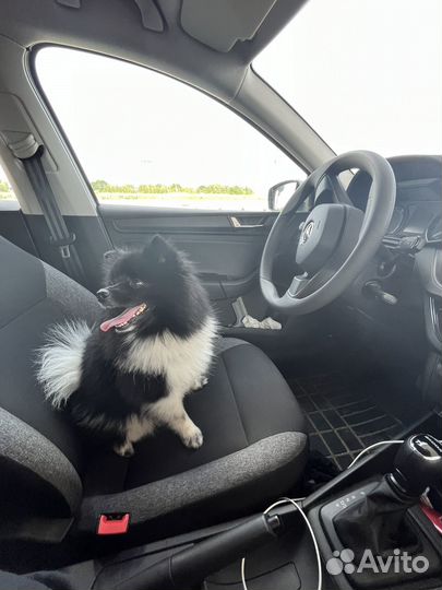 Ищем невесту