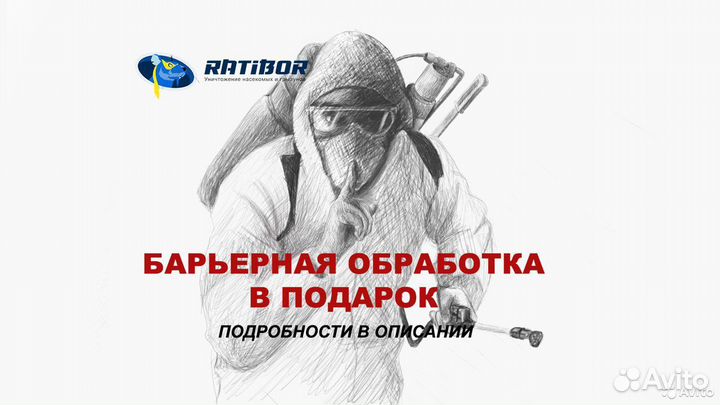 Уничтожение тараканов обработка от клопов муравьев