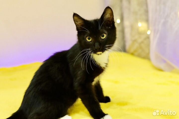 Тёма, 5 месяцев