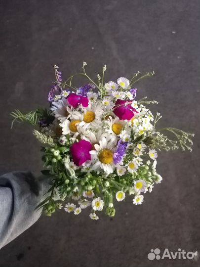 Букеты/цветы/срезка